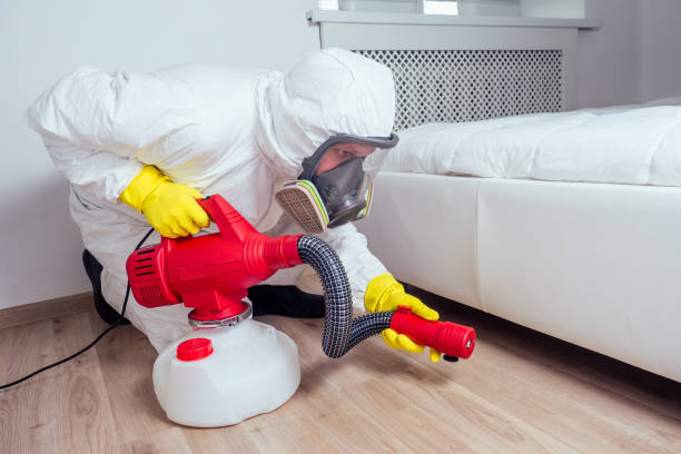 Best Pest Exclusion Services  in Hazel Green, AL